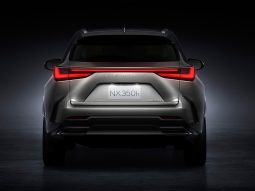 Lexus NX350 2024 full