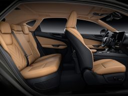 Lexus NX350 2024 full