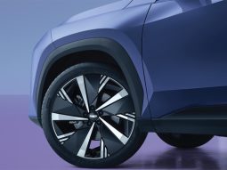 Geely Star Ray 2025 full