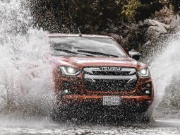 D Max GT full