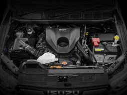 D Max GT full